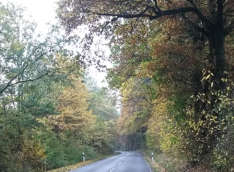 unterwegs am Teutoburger Wald