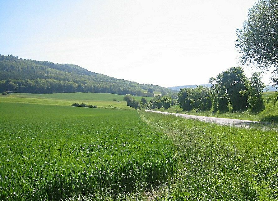 in den Höhen des Lipper Landes