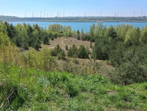 Lappwaldsee bei Helmstedt
