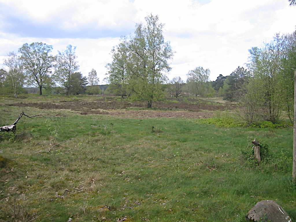 Blick in die Nordheide